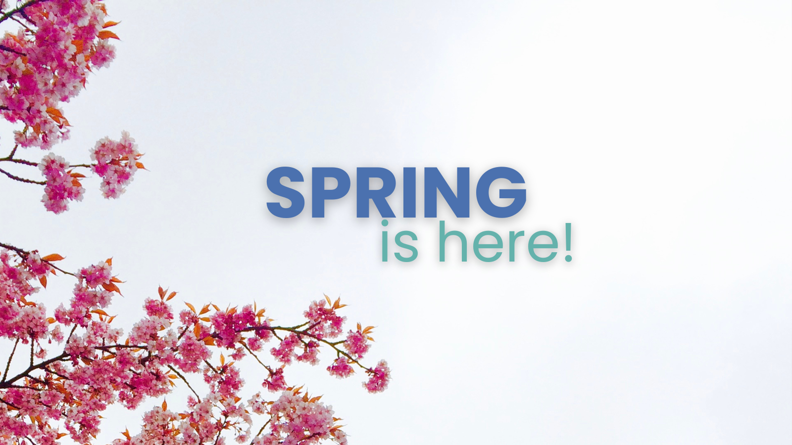 Spring Activities: What’s Happening in March