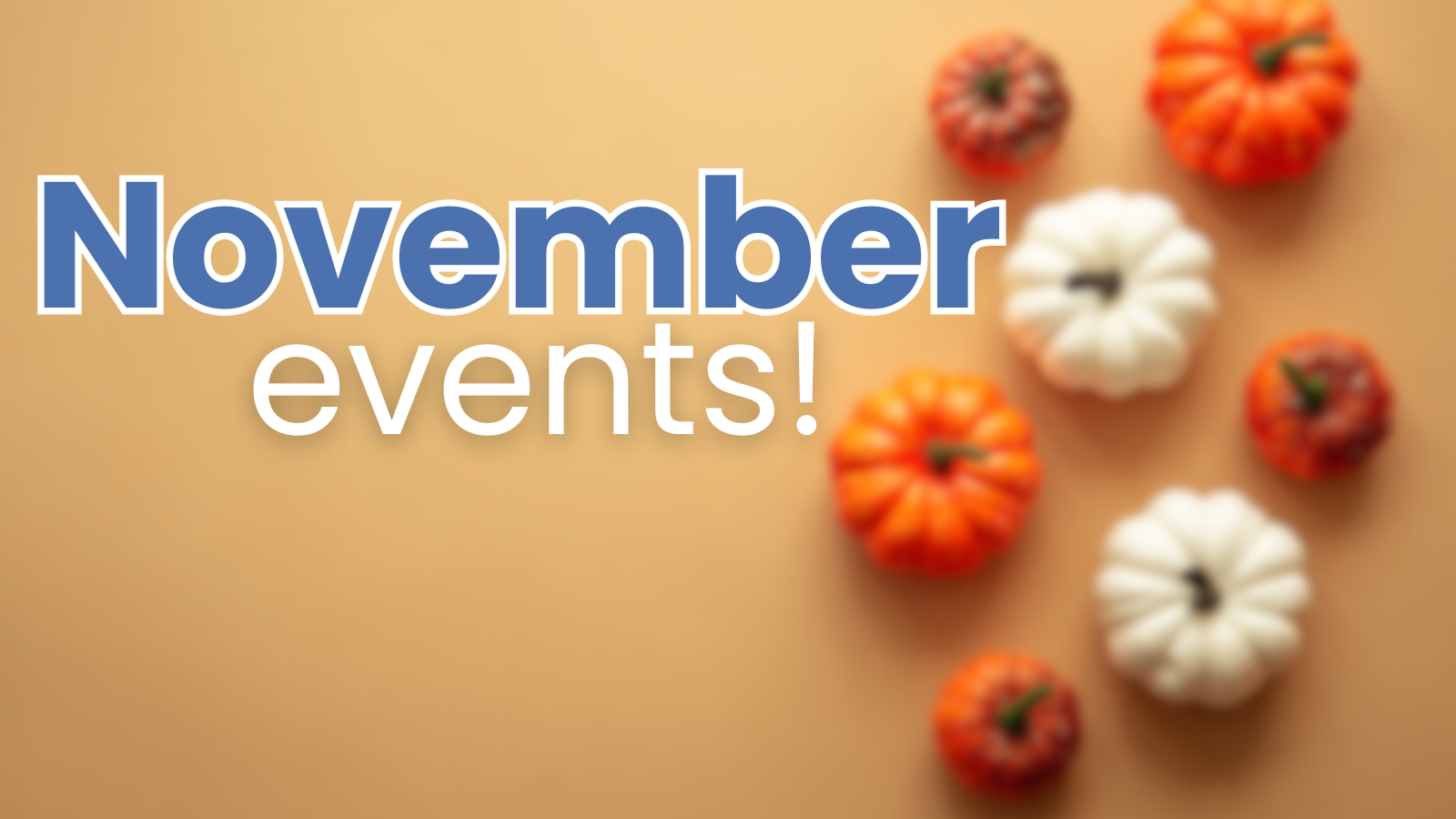 Local Activities Happening this November