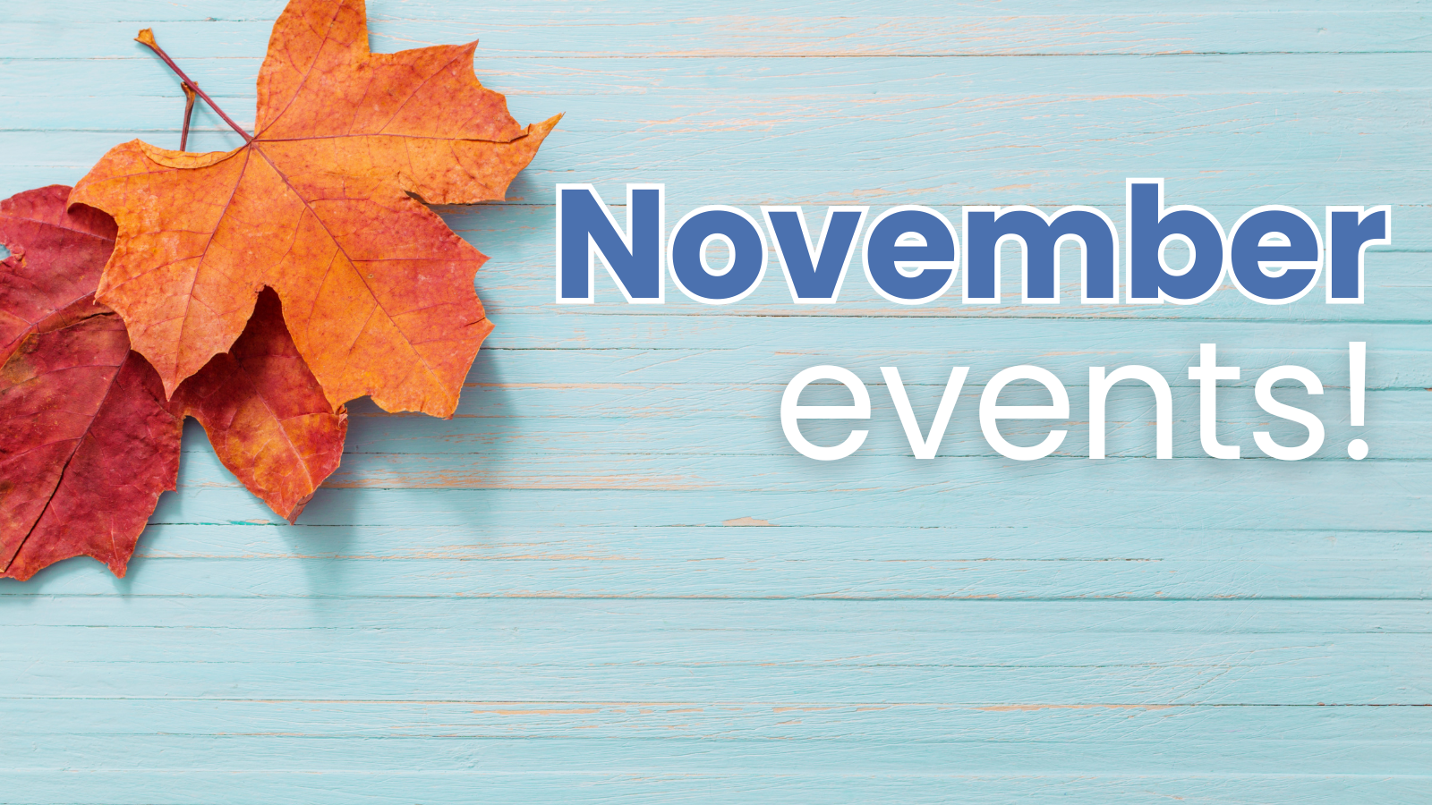 Local Activities Happening this November